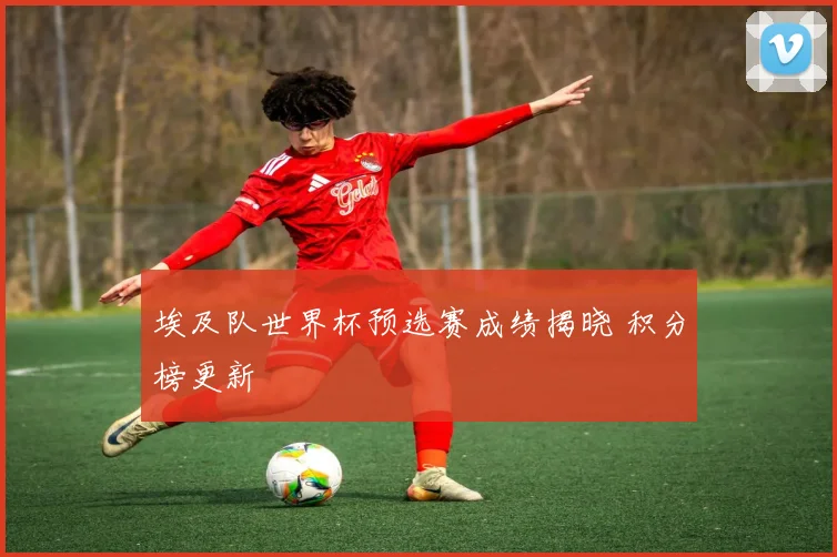 埃及队世界杯预选赛成绩揭晓 积分榜更新